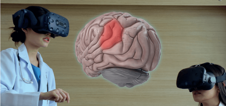 brein schaalmodel gezondheidszorg