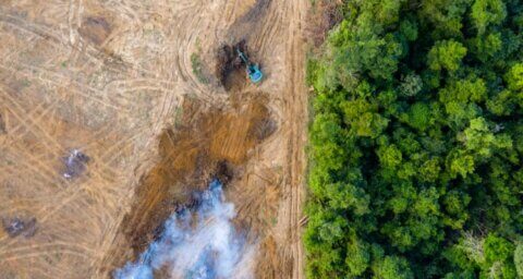 AI ontrafelt landschapspatronen na ontbossing in Afrika