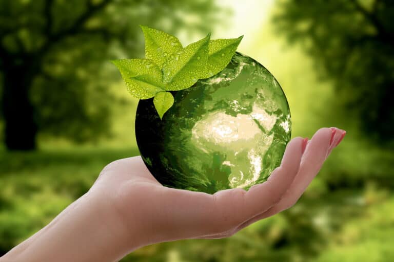Eerste Chief Sustainability Officers klaar om impact te maken