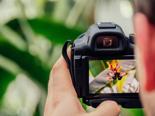 Getty Images en Shutterstock bundelen krachten in een $3,7 miljard fusie