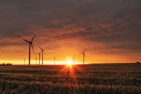 Microsoft en Novata helpen mkb met klimaatrapportage