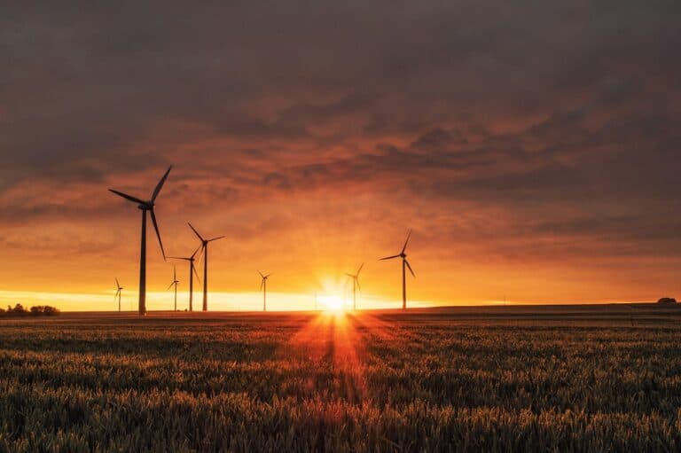 Microsoft en Novata helpen mkb met klimaatrapportage