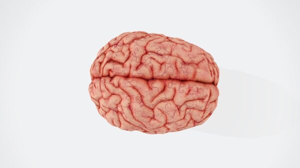 Sam Altman daagt Elon Musk uit met nieuwe rivaal voor Neuralink