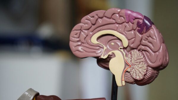 AI-innovatie spoort dementie en Parkinson vroegtijdig op