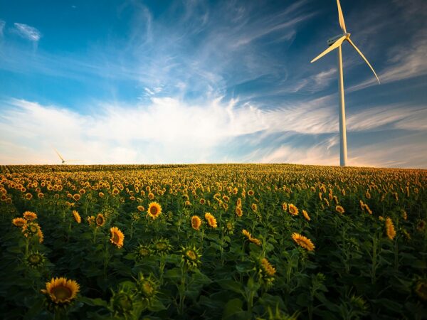 Google legt nadruk op energie-innovatie en milieu-impact van AI