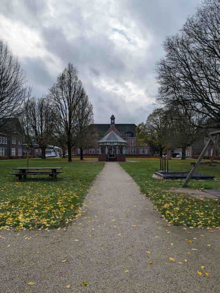 Een grindpad leidt door een park met kale bomen en verspreide gele bladeren naar een groot bakstenen gebouw onder een bewolkte hemel, perfect vastgelegd op de Google Pixel 10 Pro.