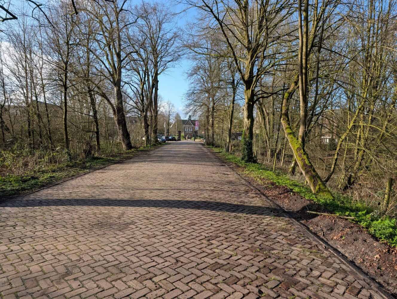 Een geplaveid pad met kale bomen aan beide zijden leidt naar een huis in de verte onder een strakblauwe hemel, vastgelegd in verbluffend detail, een Samsung Galaxy S26 Ultra review waardig.