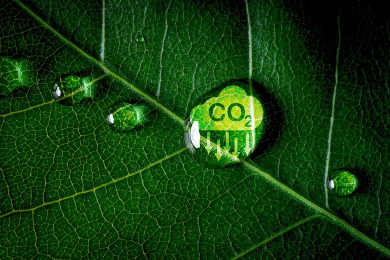 Anthropic eerste AI-startup in Frontier koolstofcoalitie