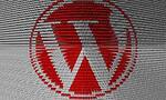 Populaire WordPress-plugin is zo lek als een mandje