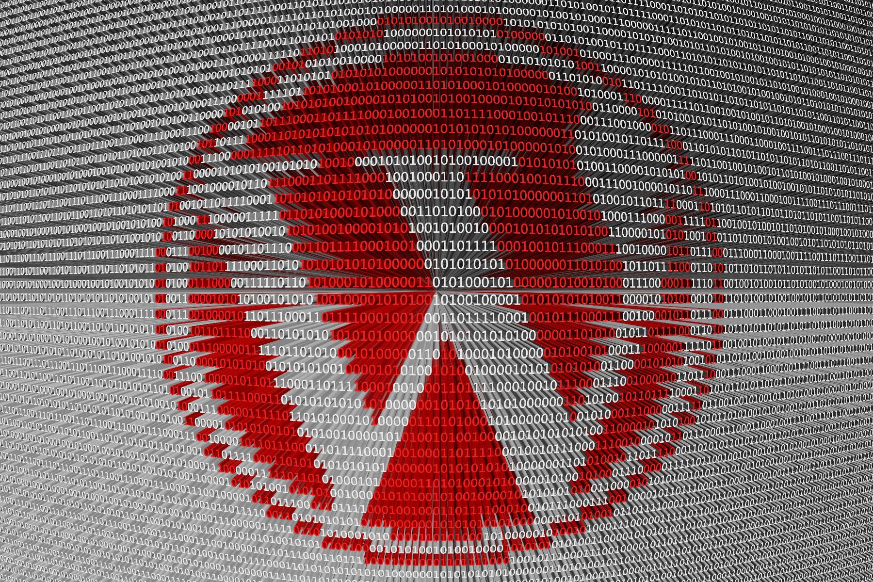 Image for the article: Populaire WordPress-plugin is zo lek als een mandje