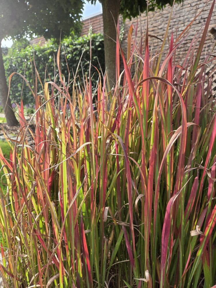 Samsung Galaxy Z Fold 8-foto (6)