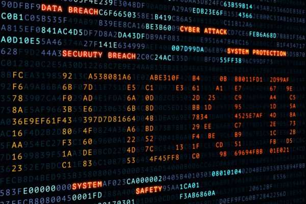 Russisch fraudenetwerk genereert 300 nepwebsites per dag